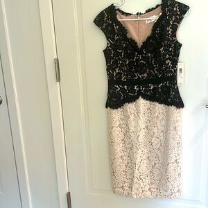 Eliza j lace dress
